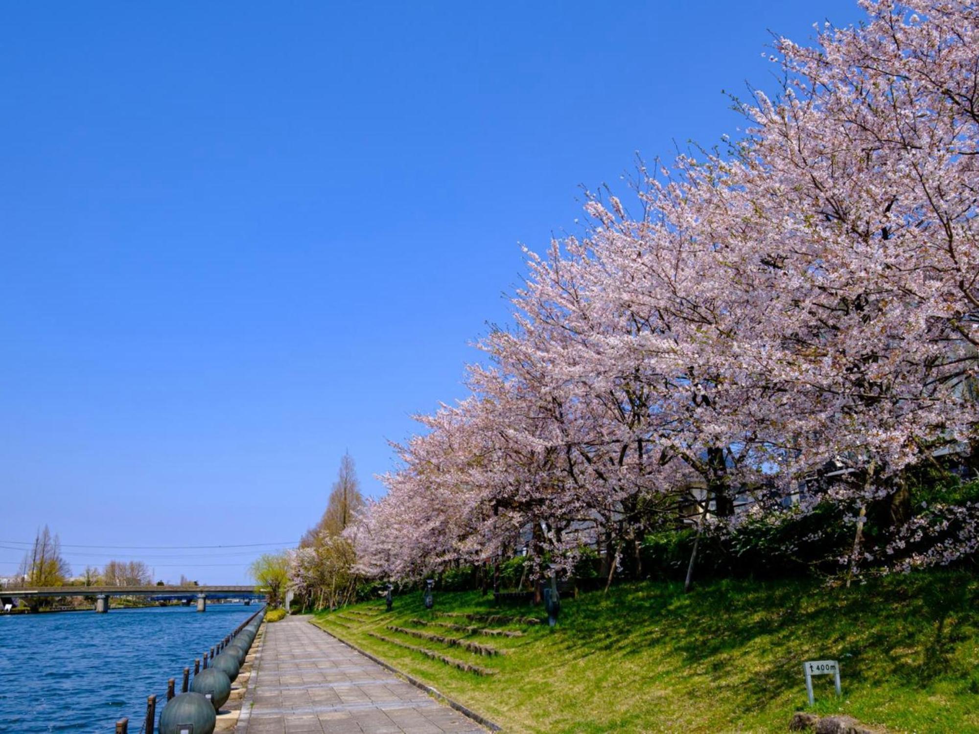 Hotel Morinokaze Tateyama‎ Toyama Ngoại thất bức ảnh